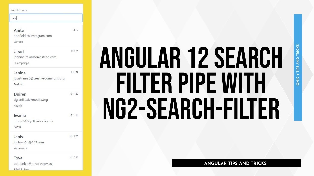 Read more about the article Angular 12 Search Filter Pipe with ng2-search-filter